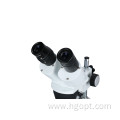 Tabletop Step Stereoscopic Binocular Microscope